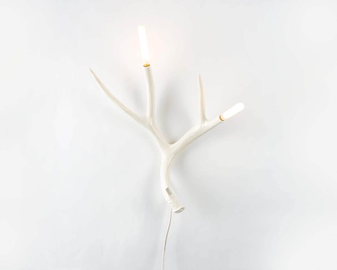 Superordinate Antler Sconce